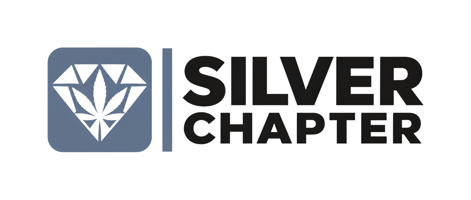 silver-chapter-logo-v2-1790890182