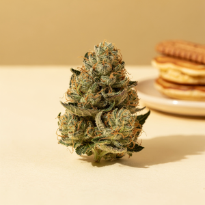 Biscotti Pancakes THCA Flower